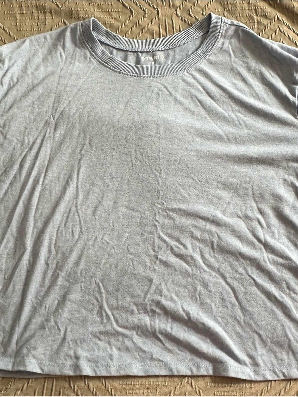 Torrid  Women’s Crew Neck T-Shirt in Light Gray Size 0 or Large